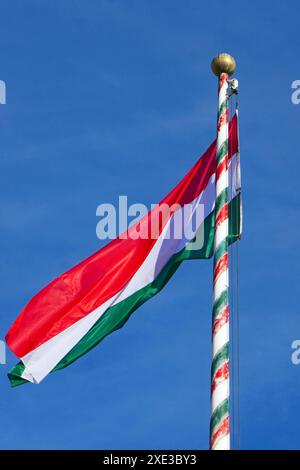 Ungarischen Nationalflagge Stockfoto