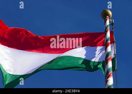 Ungarischen Nationalflagge Stockfoto