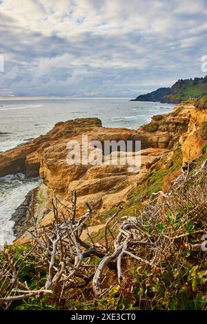 Schroffe Klippe mit Naturbogen und Panoramablick auf Treibholz Stockfoto