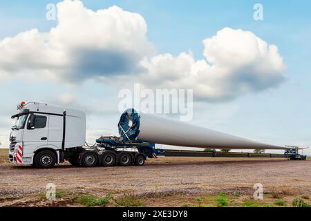 Lkw auf dem Feld. Rotorblatt für Windturbinen. Spezieller Transport eines Rotorblatts für eine Windenergieanlage auf einer Spezia Stockfoto