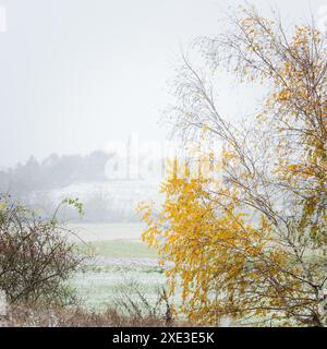 Schneeflocken bei schlechtem Wetter im Burgenland Stockfoto