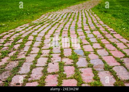 Kopfsteinpflasterpfad und grünes Gras aus nächster Nähe Stockfoto