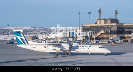 Alberta, Calgary, Kanada. Dezember 2023. Ein WestJet Flugzeug vom Typ de Havilland Dash 8. Stockfoto