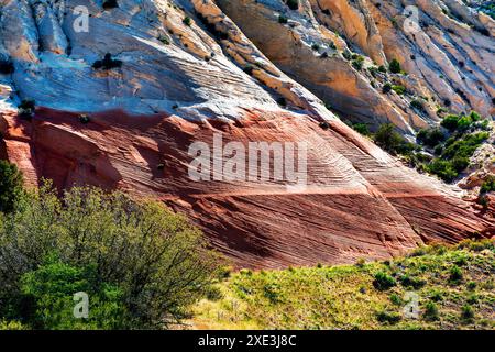 Red Hollow Slot Canyon Trail – hoch aufragende Felsformationen bieten einen atemberaubenden geologischen Kontrast mit leuchtenden roten und hellen Steinschichten. Stockfoto