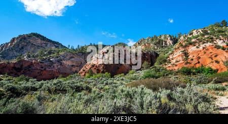 Red Hollow Slot Canyon Trail – hoch aufragende Felsformationen bieten einen atemberaubenden geologischen Kontrast mit leuchtenden roten und hellen Steinschichten. Stockfoto