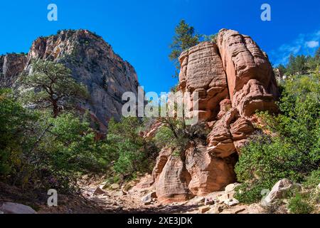 Red Hollow Slot Canyon Trail – hoch aufragende Felsformationen bieten einen atemberaubenden geologischen Kontrast mit leuchtenden roten und hellen Steinschichten. Stockfoto