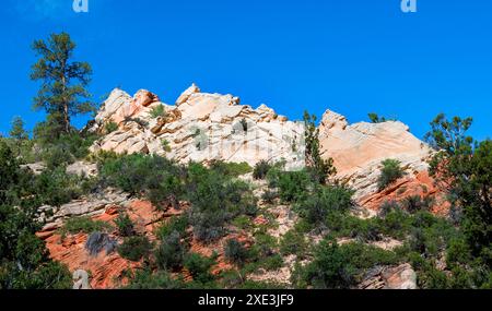 Red Hollow Slot Canyon Trail – hoch aufragende Felsformationen bieten einen atemberaubenden geologischen Kontrast mit leuchtenden roten und hellen Steinschichten. Stockfoto