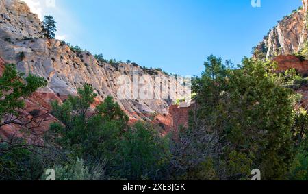 Red Hollow Slot Canyon Trail – hoch aufragende Felsformationen bieten einen atemberaubenden geologischen Kontrast mit leuchtenden roten und hellen Steinschichten. Stockfoto