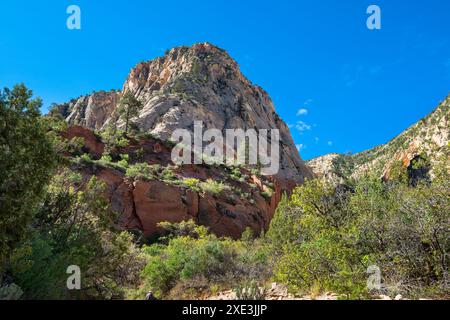 Red Hollow Slot Canyon Trail – hoch aufragende Felsformationen bieten einen atemberaubenden geologischen Kontrast mit leuchtenden roten und hellen Steinschichten. Stockfoto