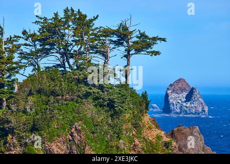 Schroffe Pazifik Nordwestküste mit Sea Stack und bewaldeten Klippen mit erhöhter Aussicht Stockfoto