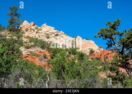 Red Hollow Slot Canyon Trail – hoch aufragende Felsformationen bieten einen atemberaubenden geologischen Kontrast mit leuchtenden roten und hellen Steinschichten. Stockfoto