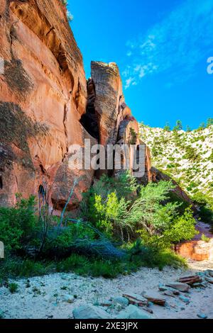 Red Hollow Slot Canyon – hoch aufragende Felsformationen mit leuchtenden Rot-, Orange- und Beigetönen erheben sich inmitten einer verstreuten, üppigen grünen Vegetation. Stockfoto