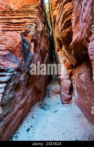 Red Hollow Slot Canyon – hoch aufragende Felsformationen mit leuchtenden Rot-, Orange- und Beigetönen erheben sich inmitten einer verstreuten, üppigen grünen Vegetation. Stockfoto