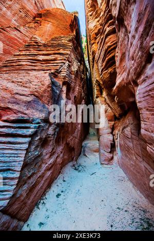 Red Hollow Slot Canyon – hoch aufragende Felsformationen mit leuchtenden Rot-, Orange- und Beigetönen erheben sich inmitten einer verstreuten, üppigen grünen Vegetation. Stockfoto