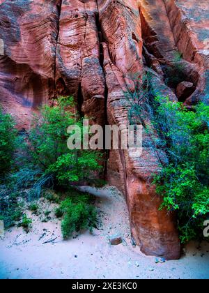 Red Hollow Slot Canyon – hoch aufragende Felsformationen mit leuchtenden Rot-, Orange- und Beigetönen erheben sich inmitten einer verstreuten, üppigen grünen Vegetation. Stockfoto