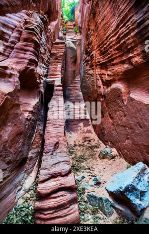 Red Hollow Slot Canyon – hoch aufragende Felsformationen mit leuchtenden Rot-, Orange- und Beigetönen erheben sich inmitten einer verstreuten, üppigen grünen Vegetation. Stockfoto