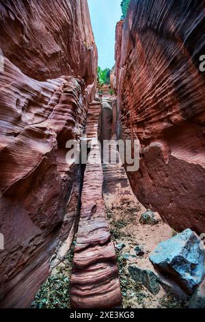 Red Hollow Slot Canyon – hoch aufragende Felsformationen mit leuchtenden Rot-, Orange- und Beigetönen erheben sich inmitten einer verstreuten, üppigen grünen Vegetation. Stockfoto