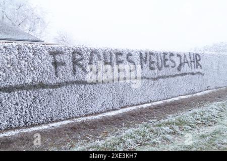 Frohes neues Jahr - Happy New Year geschrieben über schneebedeckte Hecken im Winter nach Frost Stockfoto