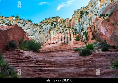 Red Hollow Slot Canyon – hoch aufragende Felsformationen mit leuchtenden Rot-, Orange- und Beigetönen erheben sich inmitten einer verstreuten, üppigen grünen Vegetation. Stockfoto