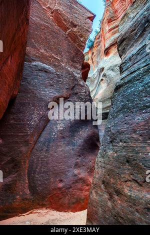 Red Hollow Slot Canyon – hoch aufragende Felsformationen mit leuchtenden Rot-, Orange- und Beigetönen erheben sich inmitten einer verstreuten, üppigen grünen Vegetation. Stockfoto