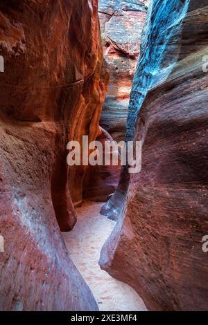 Red Hollow Slot Canyon – hoch aufragende Felsformationen mit leuchtenden Rot-, Orange- und Beigetönen erheben sich inmitten einer verstreuten, üppigen grünen Vegetation. Stockfoto