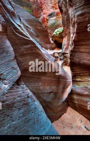 Red Hollow Slot Canyon – hoch aufragende Felsformationen mit leuchtenden Rot-, Orange- und Beigetönen erheben sich inmitten einer verstreuten, üppigen grünen Vegetation. Stockfoto