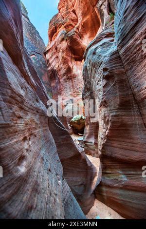 Red Hollow Slot Canyon – hoch aufragende Felsformationen mit leuchtenden Rot-, Orange- und Beigetönen erheben sich inmitten einer verstreuten, üppigen grünen Vegetation. Stockfoto