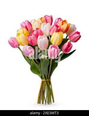 Strauß aus mehrfarbigen Tulpen auf weißem Hintergrund. Stockfoto