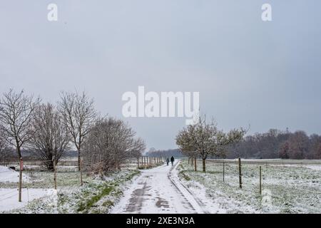 Harmonie der Winterelemente: Schneebedeckte Felder, landschaftlich reizvolle Landstraßen und der festliche Geist der Weihnachten. Wintersinfonie: Snow-Cov Stockfoto