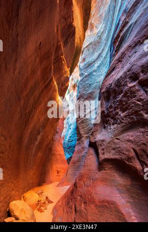 Red Hollow Slot Canyon – hoch aufragende Felsformationen mit leuchtenden Rot-, Orange- und Beigetönen erheben sich inmitten einer verstreuten, üppigen grünen Vegetation. Stockfoto