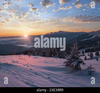 Malerischer Winter alpen Sonnenaufgang. Der höchste Kamm der ukrainischen Karpaten ist Chornohora mit den Gipfeln des Hoverla- und Petros-Berges Stockfoto