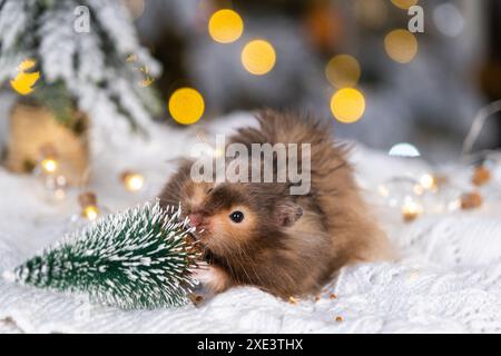 Ein lustiger, zotteliger, flauschiger Hamster knabbert am Weihnachtsbaum auf weihnachtlichem Hintergrund mit Feenlichtern und Bokeh Stockfoto