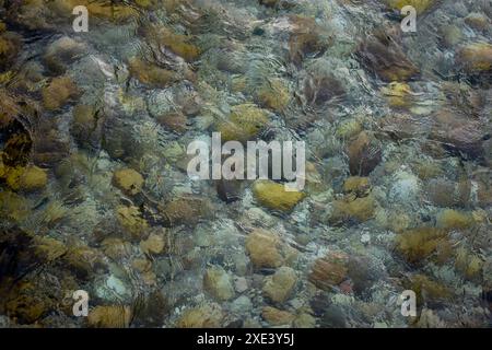 Steine unter dem Wasser im Bach. Abstrakter Hintergrund. Stockfoto