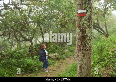 Im Vordergrund markieren weiße und rote Pfeile, die auf einem Baum gemalt sind, die Richtung eines Wanderweges. Im Hintergrund lächelt eine Frau in die Kamera, genieße es Stockfoto