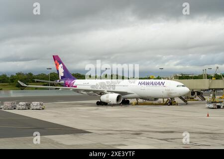 Honolulu, Hawaii, USA - 16. Januar 2024: Ein Flugzeug der Hawaiian Airlines parkt auf dem Vorfeld des Honolulu International Airport. Stockfoto