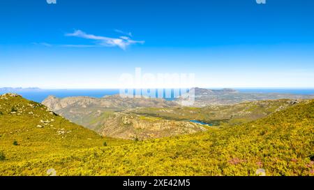 Küstenberglandschaft mit Fynbos Flora in Kapstadt. Stockfoto