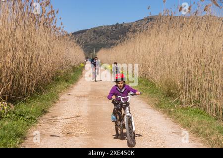 Parque Natural de la Albufera de Mallorca Stockfoto