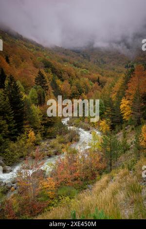 Grüner Korridor des Flusses Veral Stockfoto