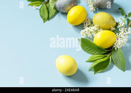 Osterhintergrund. Happy Easter Konzept mit natürlichen bunten ostereiern und Frühlingsblumen auf blauem Hintergrund. Speicherplatz kopieren. Stockfoto