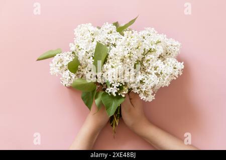 Die Hand der Frau hält weiße Blumen lila auf rosa Hintergrund. Draufsicht flach liegend. Stockfoto