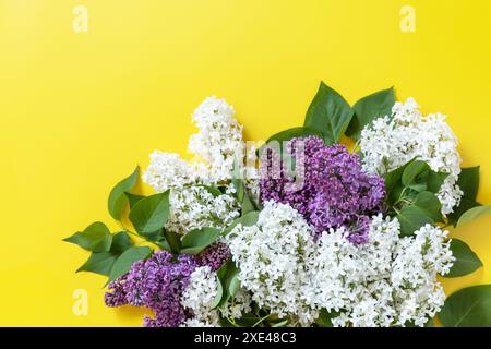 Frühling im Nachbau, lila Blumenbordüre. Lila und weiße Blüten auf gelbem Hintergrund. Kopierraum flach liegend. Stockfoto