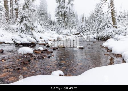 Winterwanderung rund um den Oderteich Bilder aus dem winterlichen Nationalpark Harz Niedersachsen Stockfoto