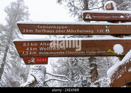 Winterwanderung rund um den Oderteich Bilder aus dem winterlichen Nationalpark Harz Niedersachsen Stockfoto