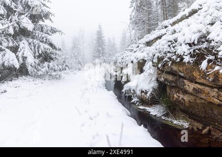 Winterwanderung rund um den Oderteich Bilder aus dem winterlichen Nationalpark Harz Niedersachsen Stockfoto