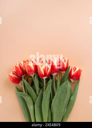 Ein Haufen roter Tulpe auf pfirsichfarbenem Hintergrund Stockfoto