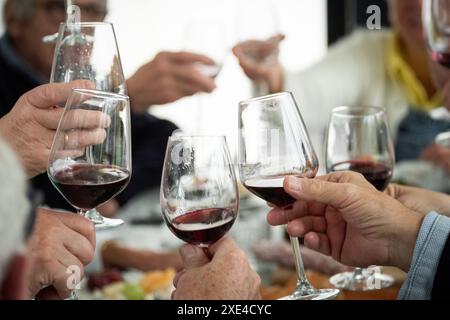 Toasten mit Rotwein Stockfoto