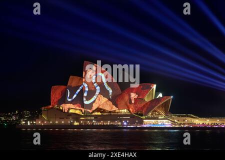 Das Sydney Opera House mit einer kurzen Animation, die während des jährlichen Vivid Sydney Lichtfestivals auf die Segel projiziert wird Stockfoto