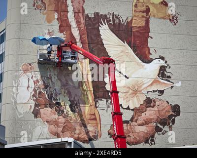 Wien, Österreich. Juni 2024. Die australische Künstlerin Fintan Magee malt eine weibliche Figur mit einer Taube an einer Wand des Vienna International Center (VIC) in luftiger Höhe. In Zusammenarbeit mit dem Wiener Kulturverein Calle Libre, den UN-Organisationen in Wien und weiteren Projektpartnern entsteht Wiens größtes Wandbild. Sie dient der Unterstützung der Nachhaltigkeitsziele und des künftigen UN-Gipfels im September. Frank Rumpenhorst/dpa/Alamy Live News Stockfoto