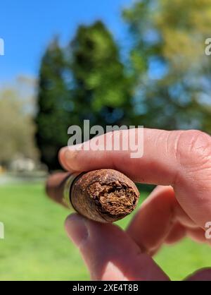 Detail aus der Hand des einen rauchenden Mann hält eine brennende Zigarre in einem Garten mit einem unscharfen Hintergrund Stockfoto