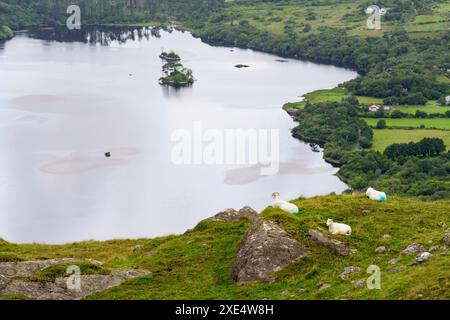 Healy Pass und Glanmore Lake (R574) auf der Halbinsel Beara Stockfoto